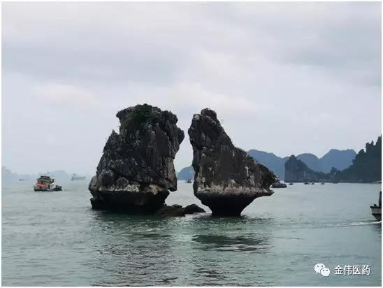 “感恩有你，一路同行”瀘州金偉2019快樂之旅